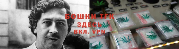 ГАЛЛЮЦИНОГЕННЫЕ ГРИБЫ Бугульма