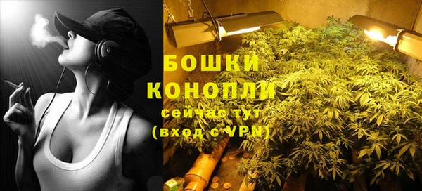 ГАЛЛЮЦИНОГЕННЫЕ ГРИБЫ Бугульма