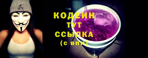 2c-b Бородино