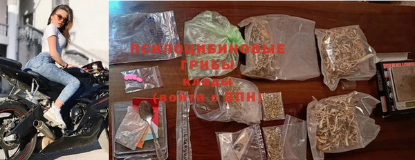 МДПВ Верея