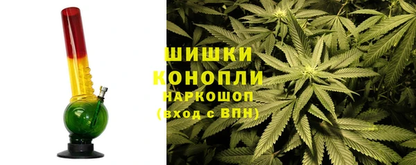 2c-b Бородино