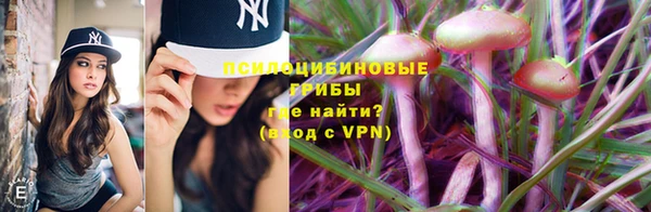 таблы Бронницы