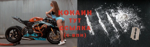 2c-b Бородино