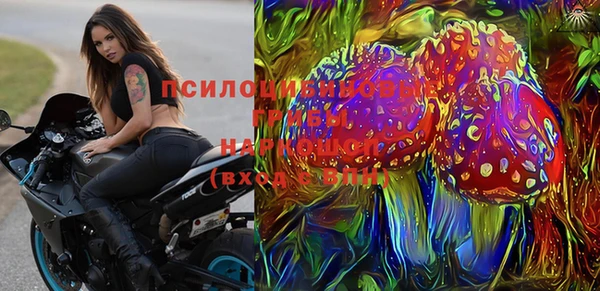 ГАЛЛЮЦИНОГЕННЫЕ ГРИБЫ Бугульма