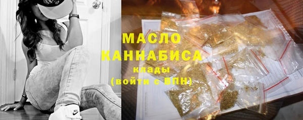 2c-b Бородино